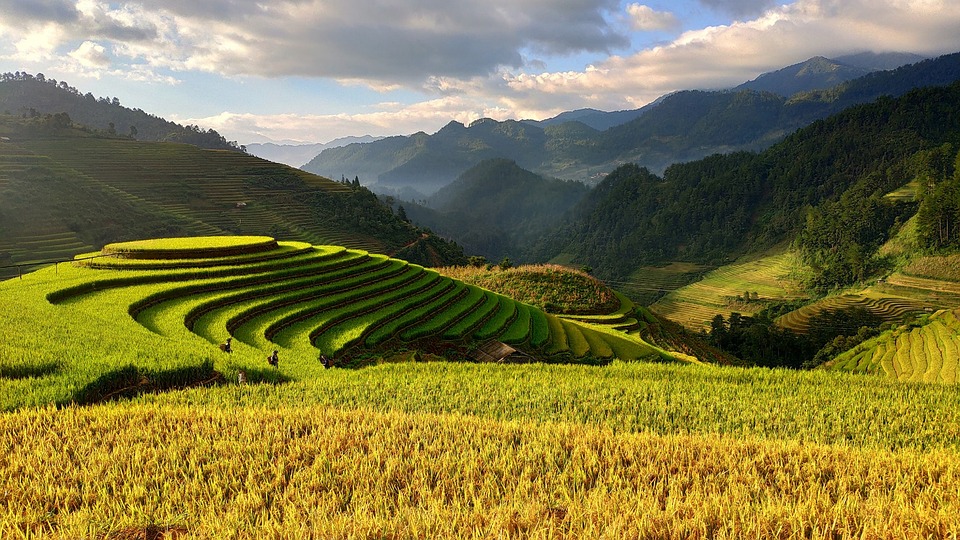 Le Nord Ouest Vietnam et ses montagnes : Mai Chau et ses rizières