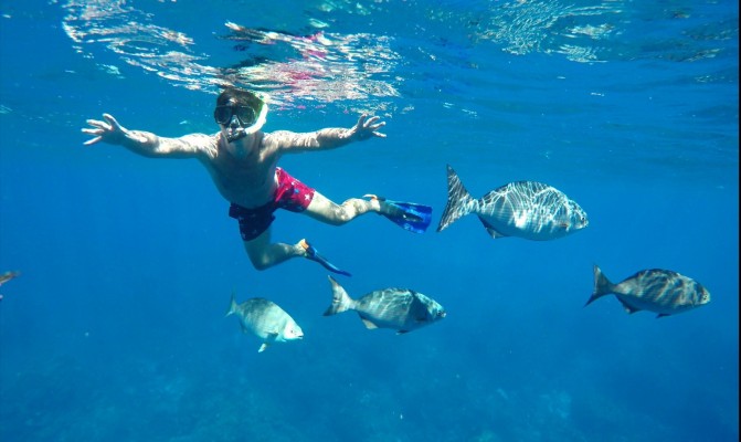 Ile de Cozumel