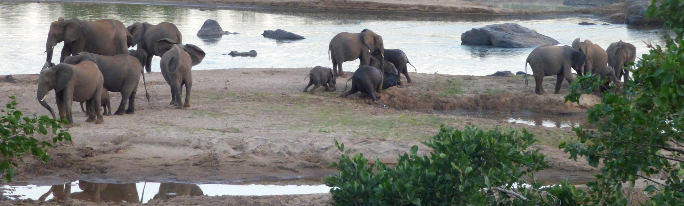 Peuple Venda, safaris et péninsule du Cap