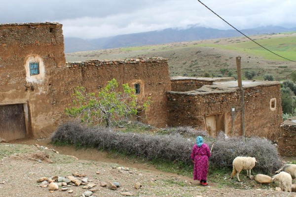 La vallée d'Amizmiz, au sein de familles berbères