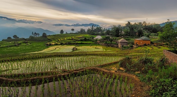 Les Merveilles Du Nord Vietnam Des Montagnes Du Nord Est Au