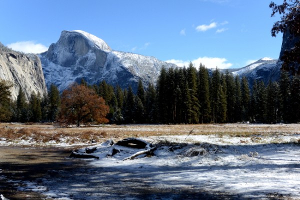 Le parc de Yosemite
