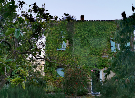 La maison d'hôtes de Letizia en Corse 