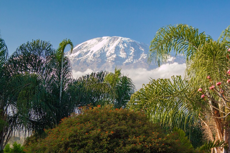 kilimanjaro-4436821_1920.jpg