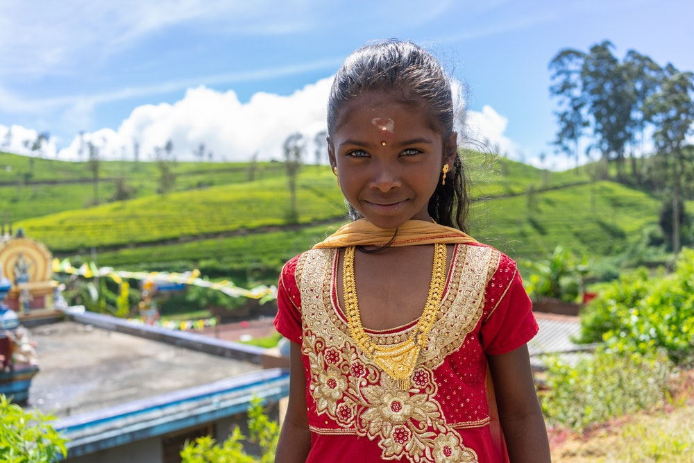 Visite des plantations de thé du Sri Lanka