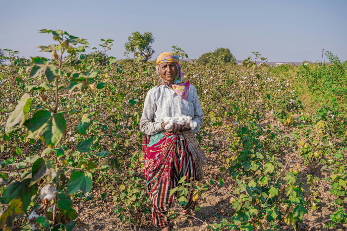 Les Nouvelles Terres aux côtés des producteurs Sri-Lankais à Maussawa