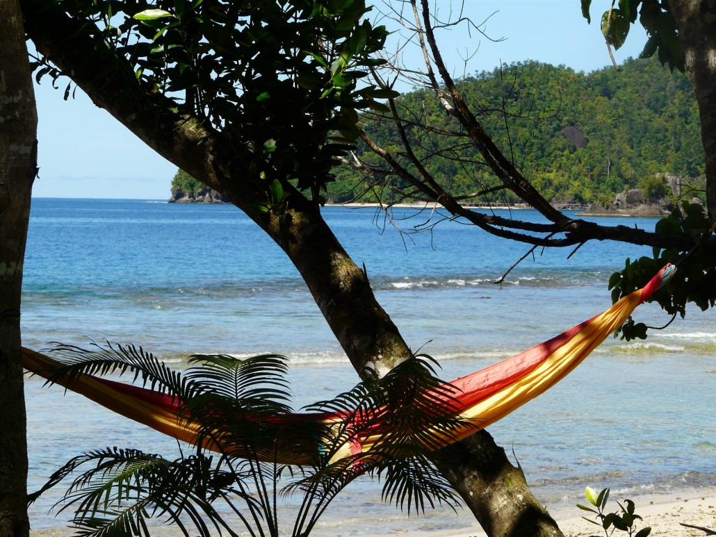 sumatra - crédit inconnu 2.jpg