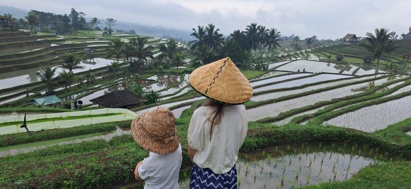 Avis de Julie, Mathieu, Alexane et Aubin - Voyage en Bali