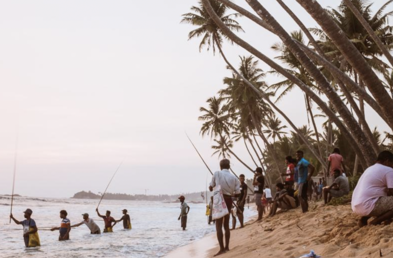 Avis de Rémy Pradeilles  - Voyage en Sri Lanka