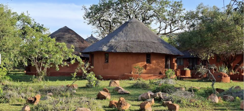 Avis voyage Afrique du Sud - d&eacute;cembre 2025