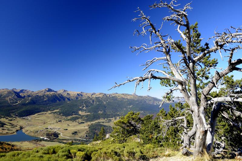 Jour 3 : Nord de la Sierra del Cadi : Pic de Moixeró ou Vall de Ridolaina ou Ansovell et Cava