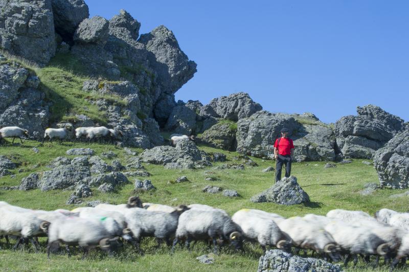 Jour 4 : Rencontre avec un berger et sommet d'Urkulu (1 423 mètres)