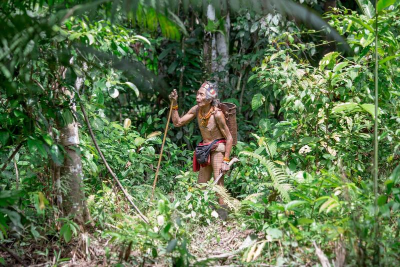 Jours 3 à 6 : Chez les hommes-fleurs de Mentawaï, sur l'île de Siberut