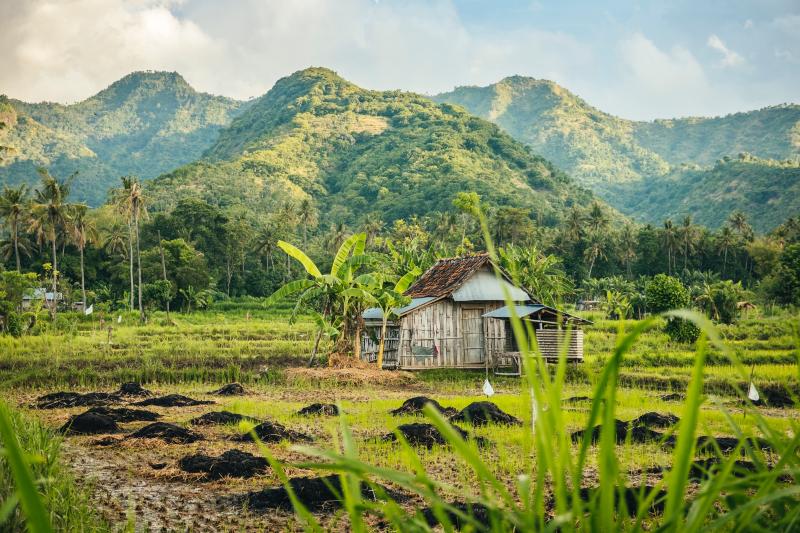 Jour 14 : Balade à vélo dans les rizières