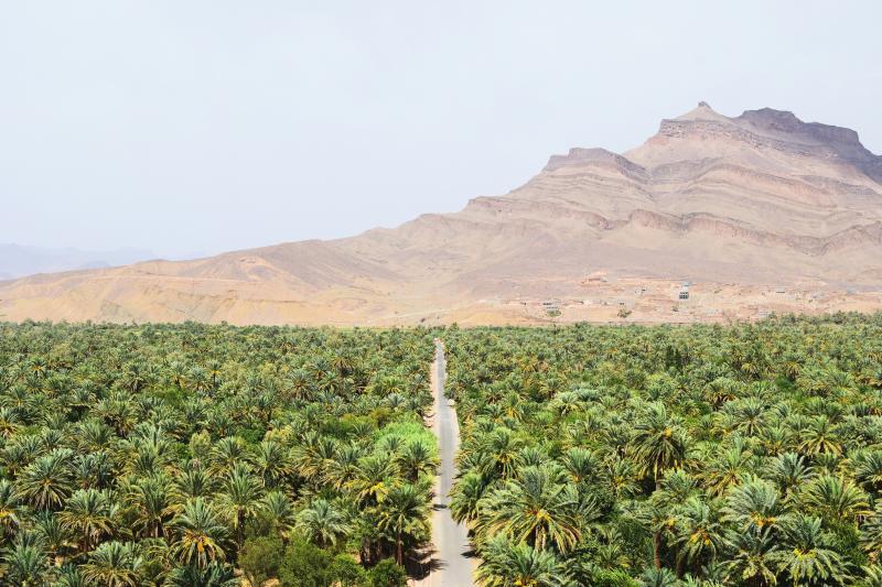 Jour 5 : De la vallée d'Arghen au pays du safran