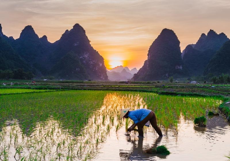 Voyage à travers les plus beaux paysages du nord au sud du Vietnam